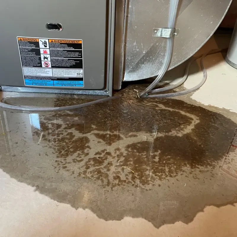 Appliance Leak Cleanup in Dale County, AL